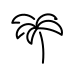 palm tree